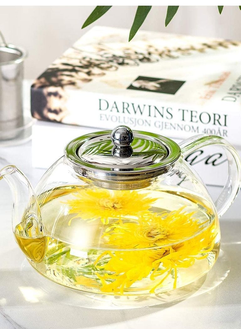 Glass Teapot With Heat Resistant Stainless Steel Infuser 1000ml