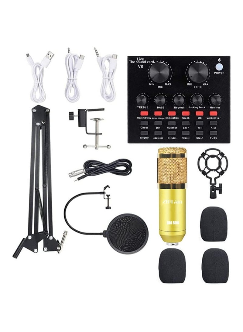 Professional Condenser Microphone With Live Sound Card And Studio Recording Broadcasting Set Black/Gold