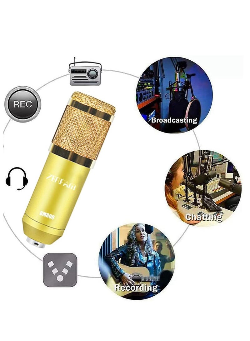 Professional Condenser Microphone With Live Sound Card And Studio Recording Broadcasting Set Black/Gold