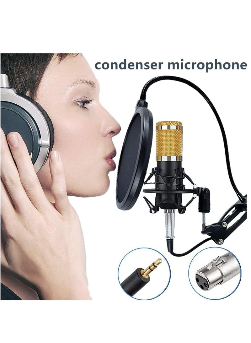 Professional Condenser Microphone With Live Sound Card And Studio Recording Broadcasting Set Black/Gold