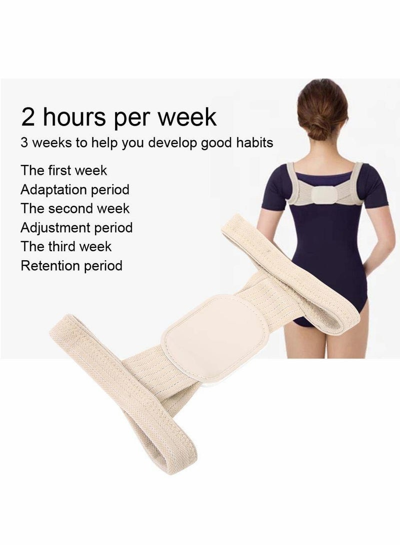 Posture Corrector, 2 Pcs Correction Belt Back Spine Support Adjustable Upper Brace for Clavicle and Providing Pain Relief Women Men, Breathable(L)