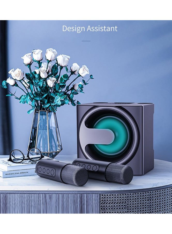 YS-207 Portable Bluetooth Speaker with 2 Microphones Wireless