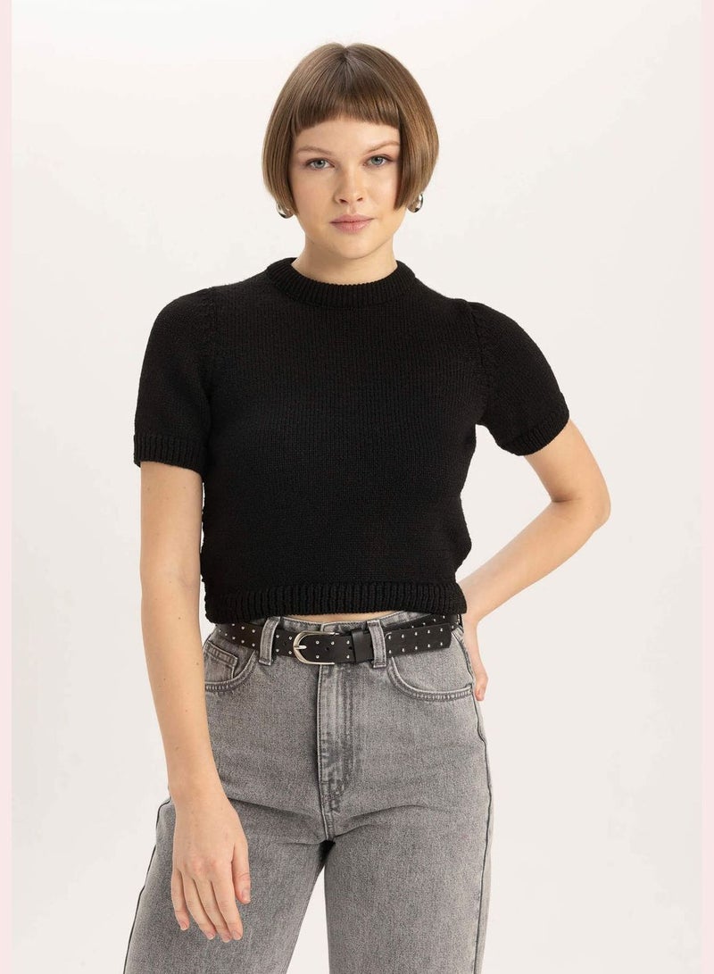 Woman Crew Neck Short Sleeve Tricot Pullover