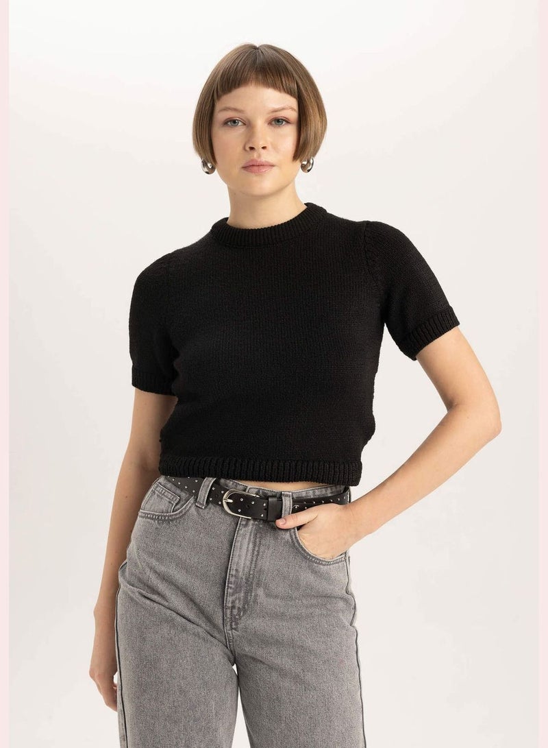 Woman Crew Neck Short Sleeve Tricot Pullover