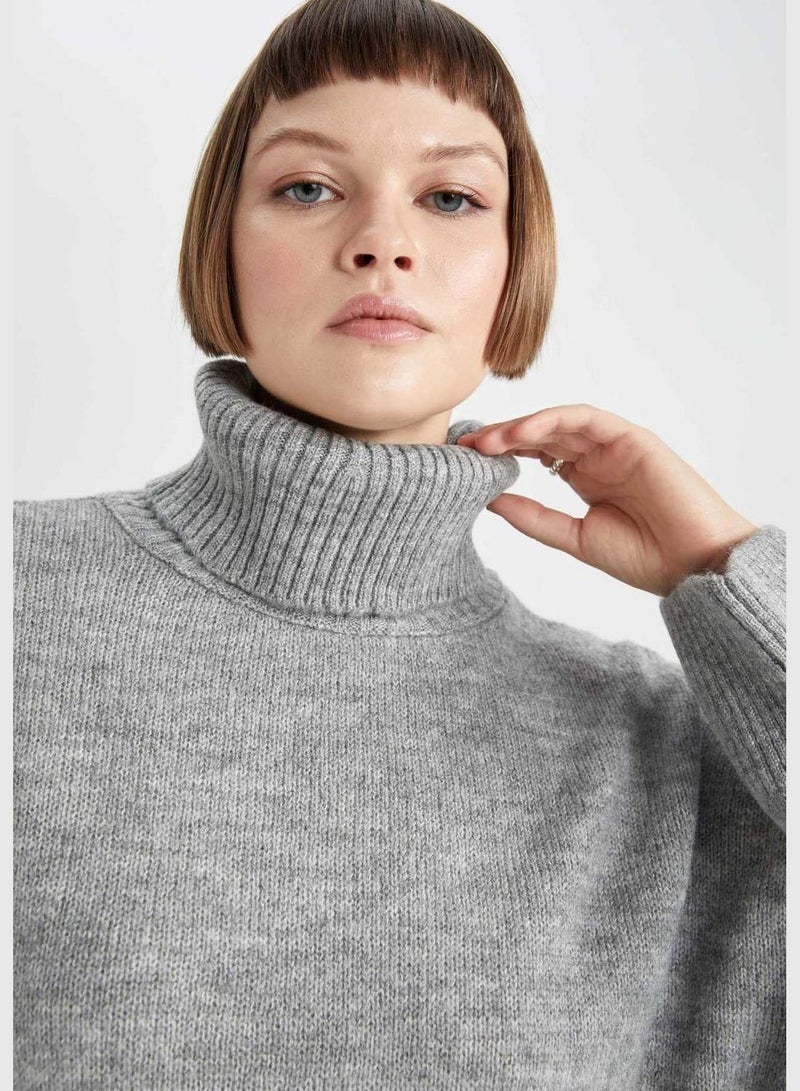 Woman Turtle Neck Long Sleeve Tricot Pullover