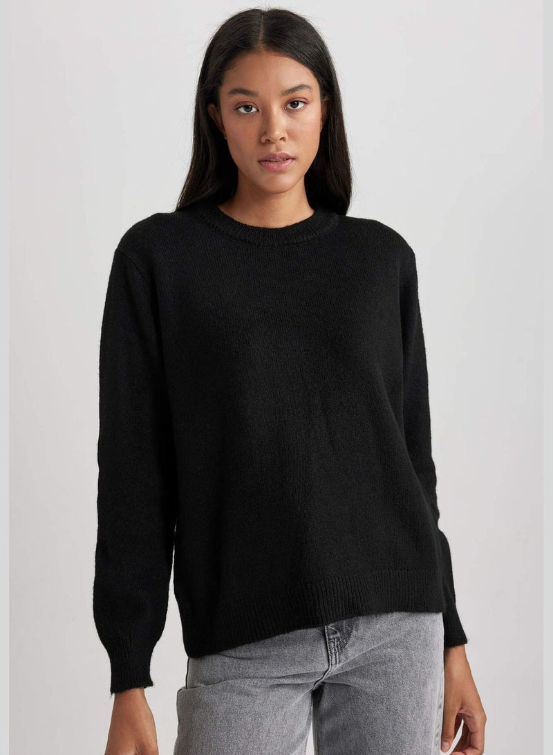 Woman Crew Neck Long Sleeve Tricot Pullover
