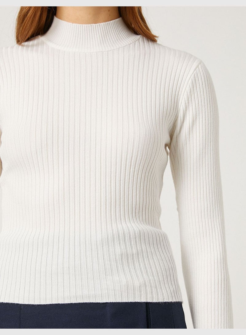 Feather Detail Sleeve Half Turtleneck Sweater