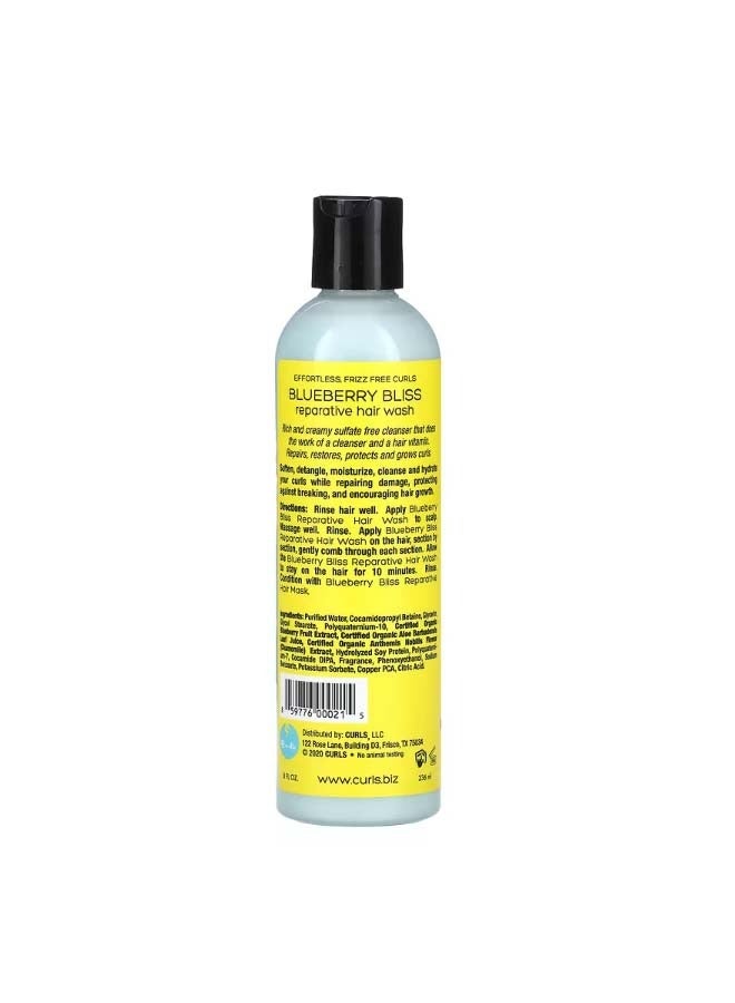 Blueberry Bliss Reparative Hair Wash 8 fl oz 236 ml