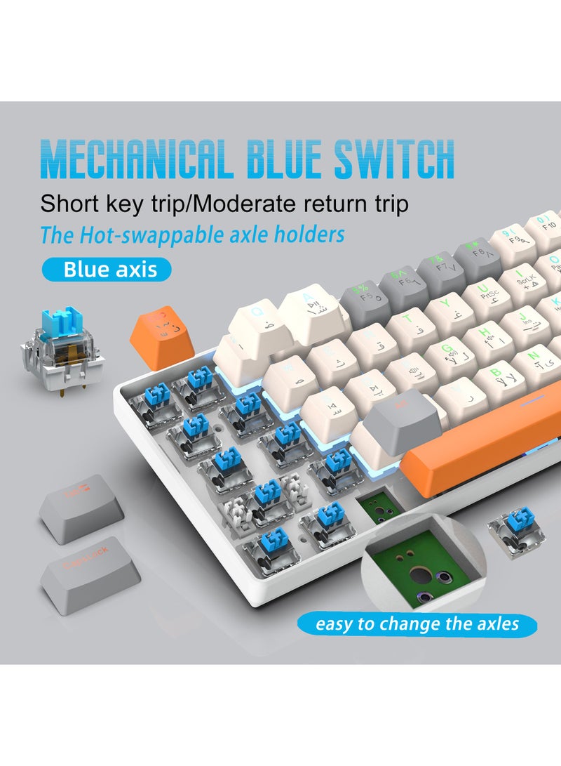 ROCK POW 60% Arabic English Mechanical Gaming Keyboard, 63keys RGB Backlit Ultra-Compact Mini Keyboard, Waterproof Mini Compact Keyboard for PC/Mac Gamer, Typist,Trip Hot  Swappable Blue Switch