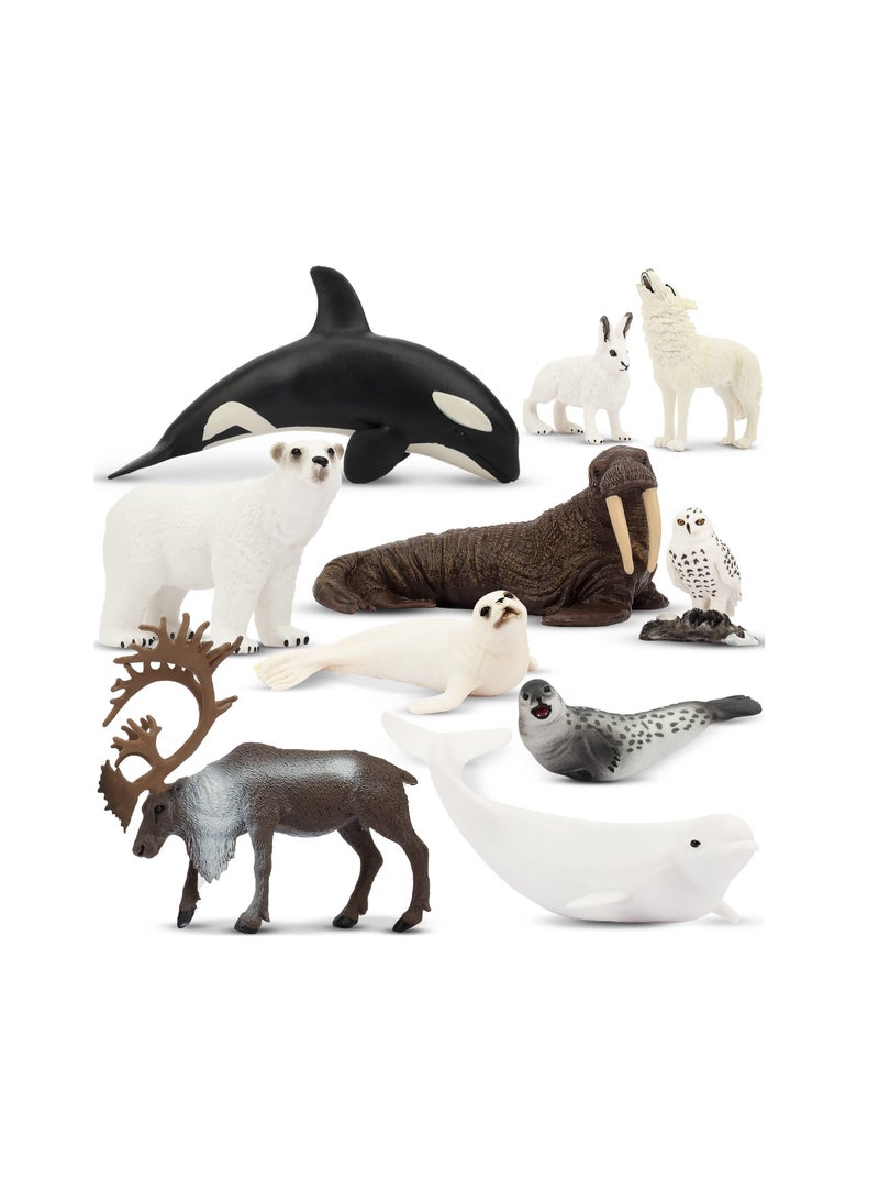 10Pcs Realistic Polar Animal Figurines 2 to 7Inch Plastic Arctic Animal Figure Set Includes Polar Bear Caribou Whales Walrus Cake Toppers Birthday Toy Gift for Kids Toddlers