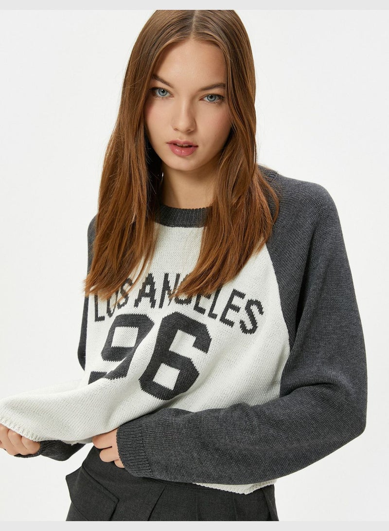 Varsity Knit Sweater Color Contrast Long Sleeve Crew Neck