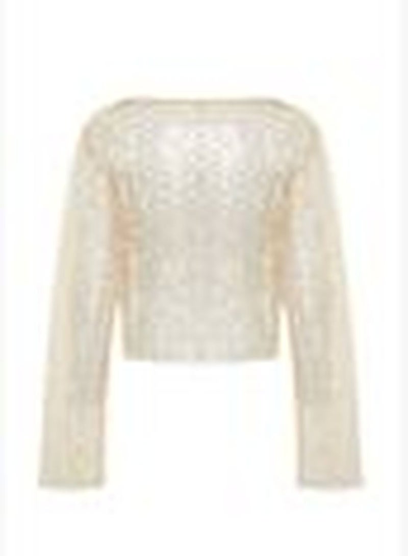 Beige Crop Knitted Unlined Shiny Mesh Sequin Blouse