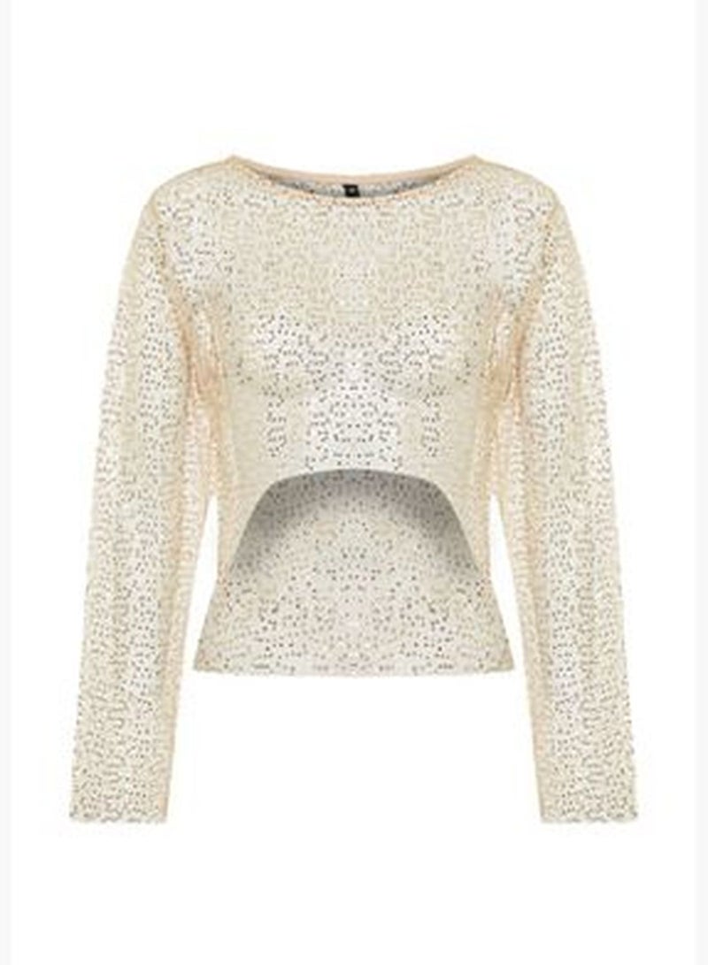 Beige Crop Knitted Unlined Shiny Mesh Sequin Blouse