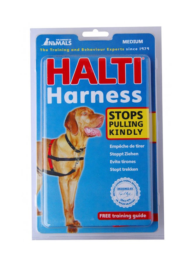 Dog Harness Black/Red Smallinch