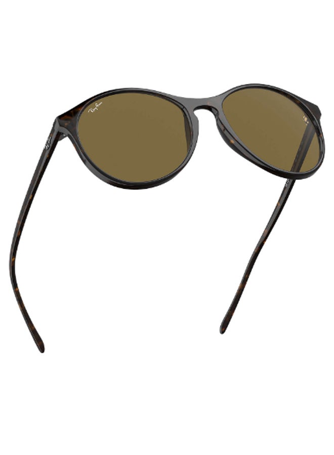 Round Frame Sunglasses RB4371F 902/73 55