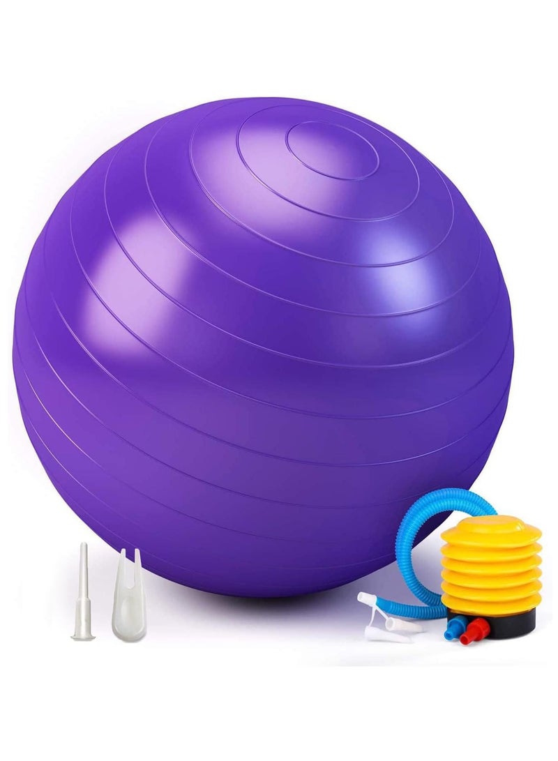 Exercise Gym Ball 65cm Extra Thick Swiss Ball | with - Quick Pump - Birthing Ball for - Yoga-Pilates - Fitness - Physical Therapy - Pregnancy & Labour