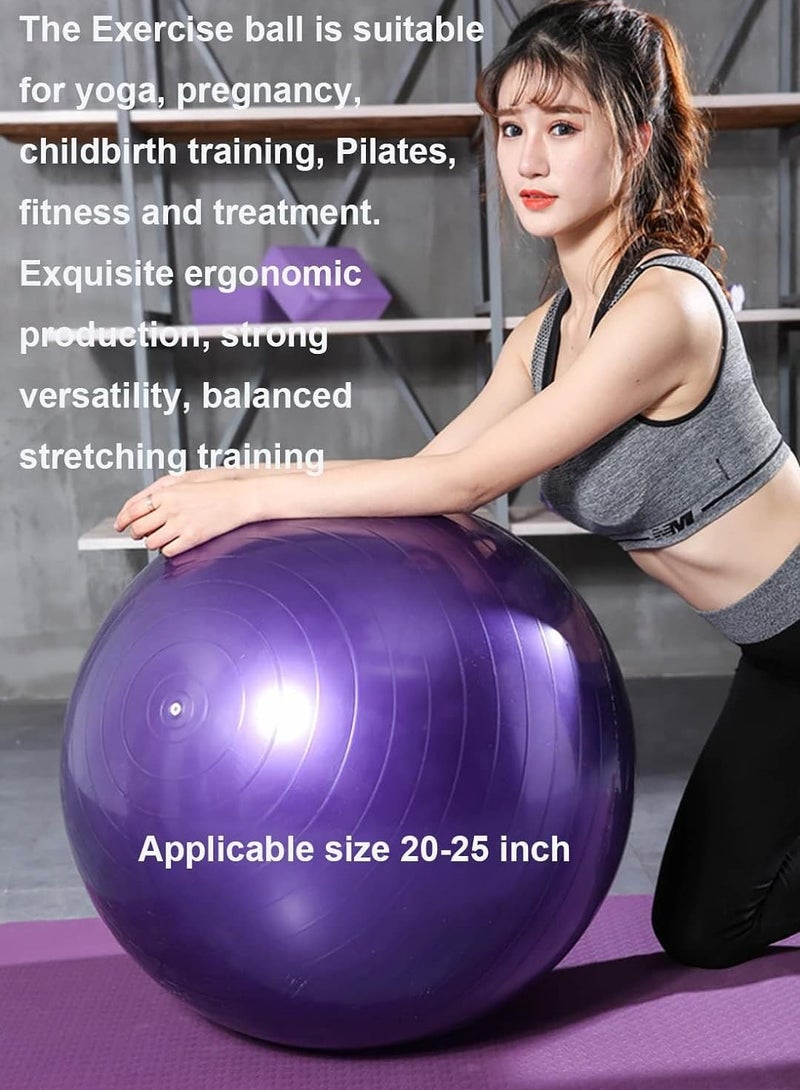 Exercise Gym Ball 65cm Extra Thick Swiss Ball | with - Quick Pump - Birthing Ball for - Yoga-Pilates - Fitness - Physical Therapy - Pregnancy & Labour