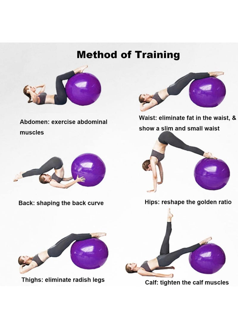 Exercise Gym Ball 65cm Extra Thick Swiss Ball | with - Quick Pump - Birthing Ball for - Yoga-Pilates - Fitness - Physical Therapy - Pregnancy & Labour