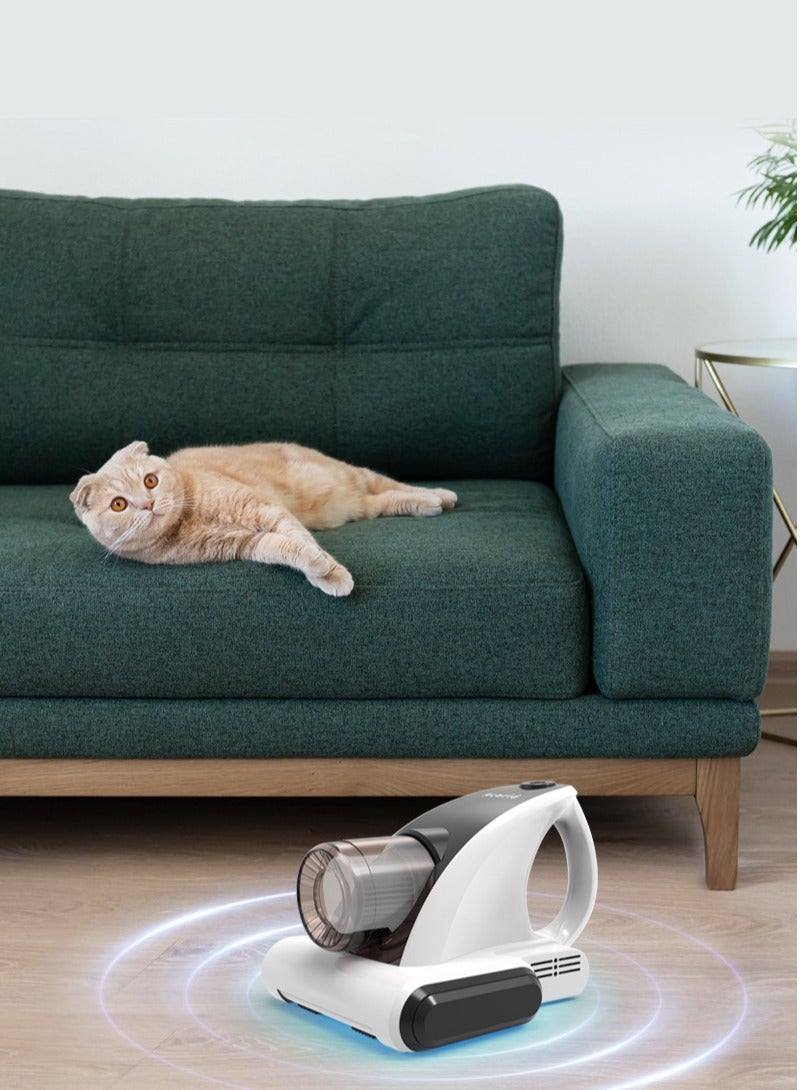 Dust Mite Vacuum Cleaner UV Bed Mattress Vacuum Cleaner,12000PA Handheld Upgraded Effectively Clean Up Bed, Pillows, Cloth Sofas, Carpets and Ther Fabric Surfaces