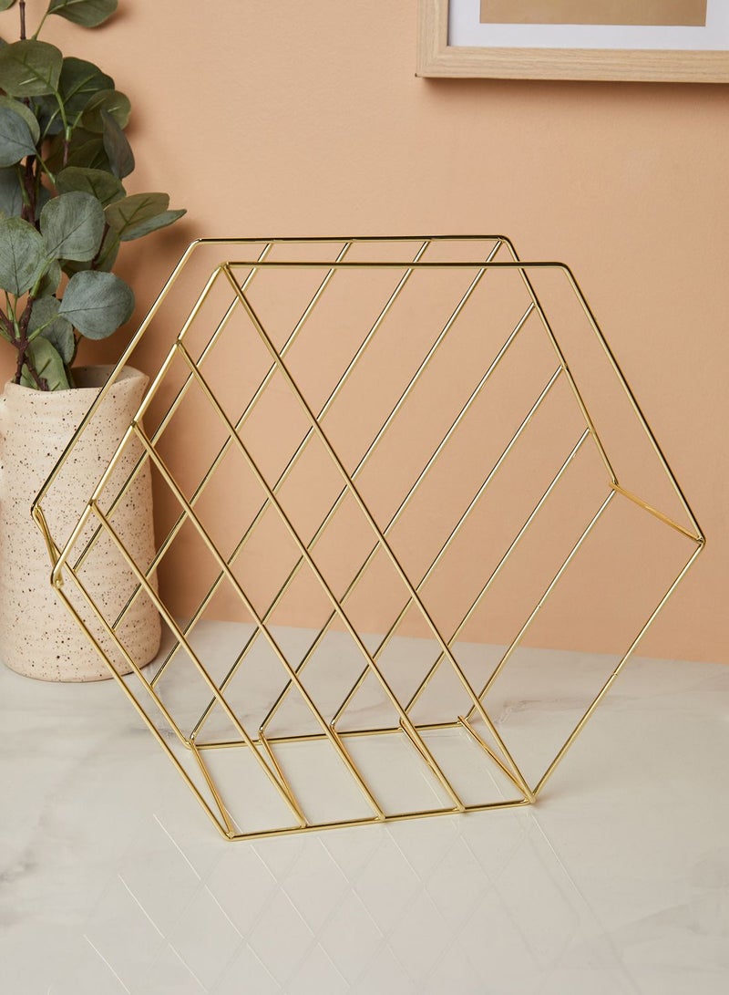 Vertex Plated Hexagonal Wire Magazine Rack