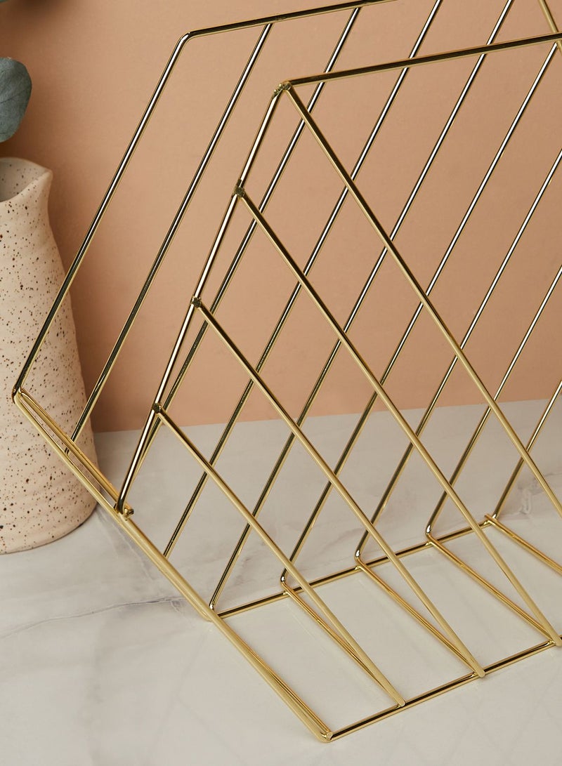 Vertex Plated Hexagonal Wire Magazine Rack