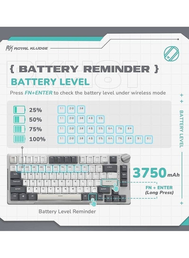 RKH81 Tri-Mode 80% Gasket Structure Wireless Mechanical Gaming Keyboard, Brown Switches Hot-Swappable RGB Knob Control