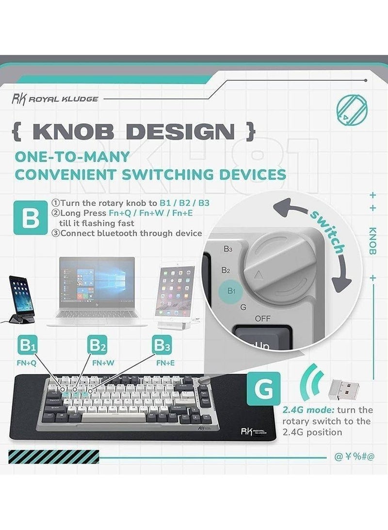 RKH81 Tri-Mode 80% Gasket Structure Wireless Mechanical Gaming Keyboard, Brown Switches Hot-Swappable RGB Knob Control