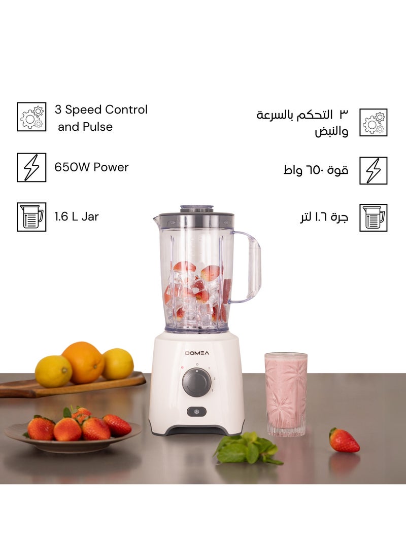2-in-1 Blender & Grinder, 650W High-Speed Motor, 1.6L Juice Blender Jar + 300 ml Grinder Jar, 2-Speed + Pulse Function, Stainless Steel Blade, Ice Crushing, Coffee Grinding, Countertop Blender