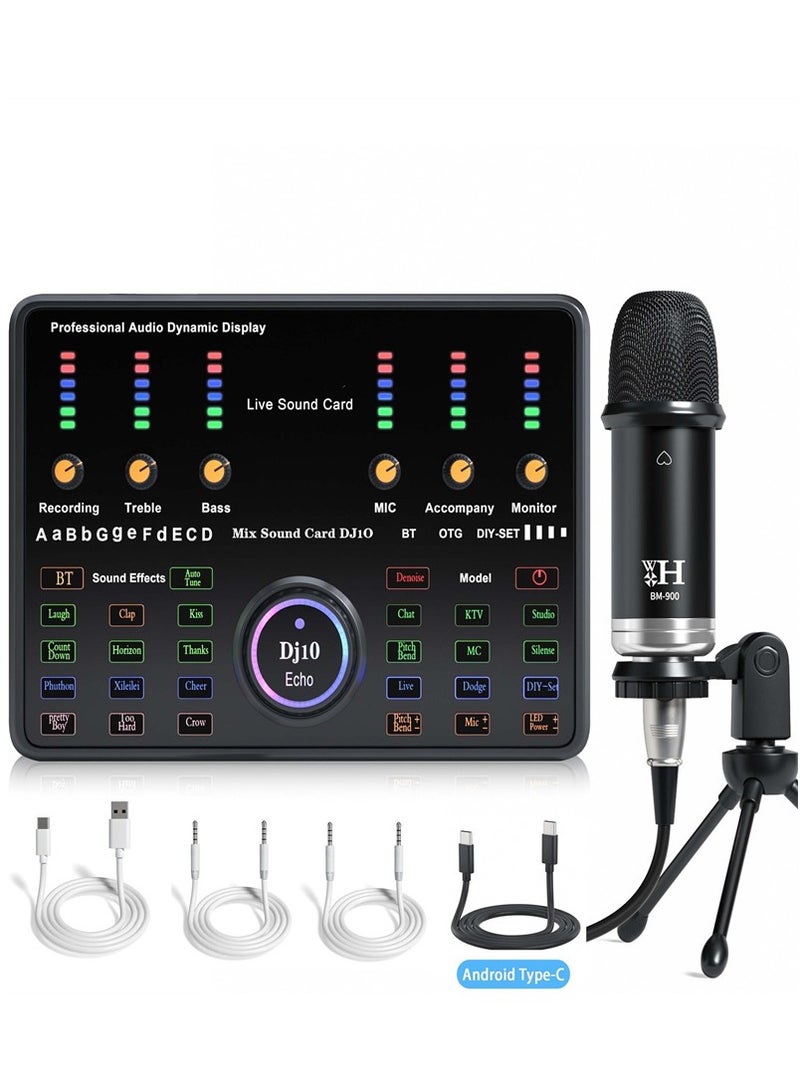 Wireless Karaoke Microphone Professional Condenser Sound Card Set