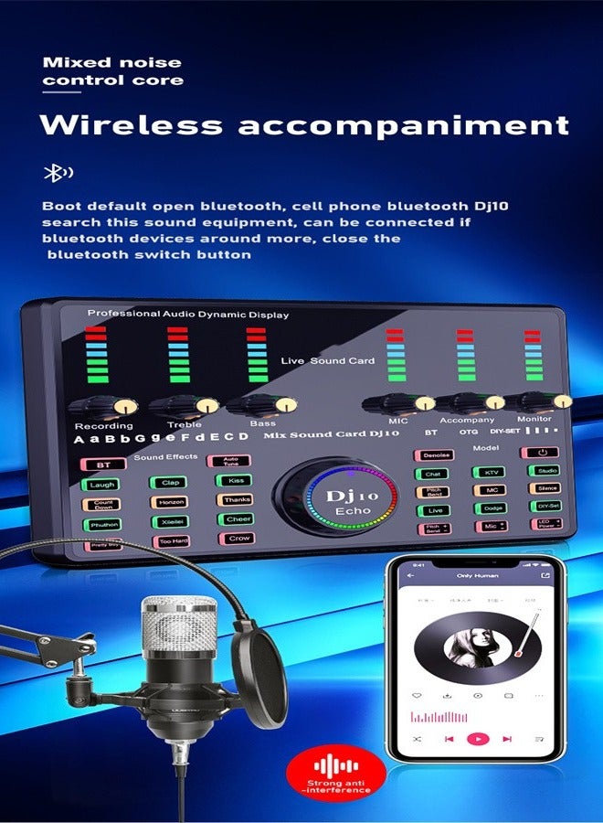 Wireless Karaoke Microphone Professional Condenser Sound Card Set