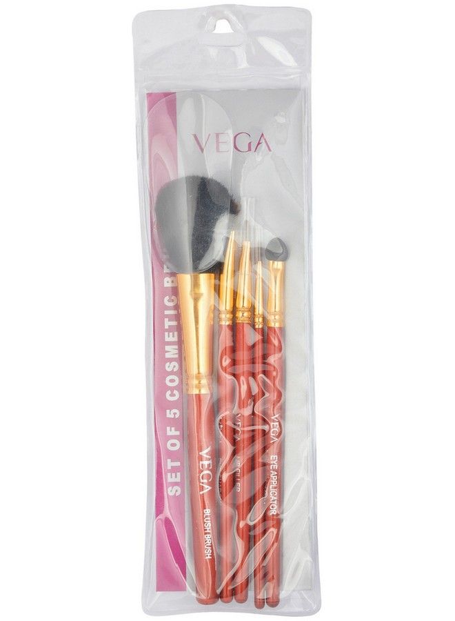 Cosmetic Brush Set Rv05 Multi Color 5 Numbers Pack