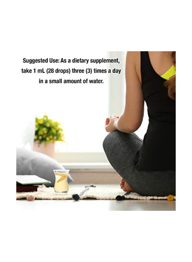 Devil's Claw Extract Herbal Supplement 370mg