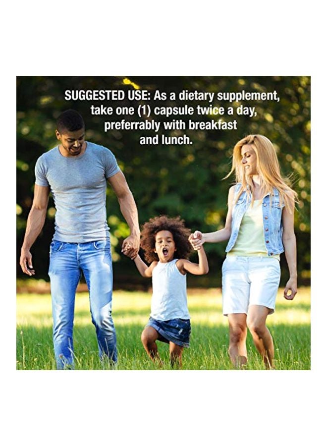 Bacopa Monnieri Dietary Supplements 500 mg - 90 Capsules