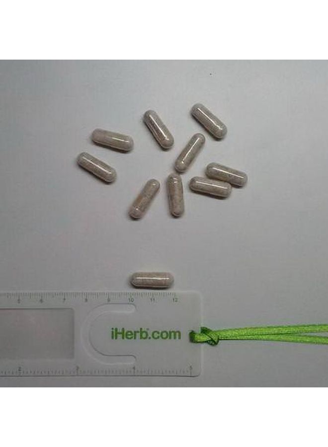 Ginkgo Biloba Mental Alertness - 60 Capsules