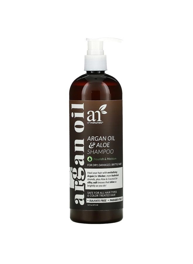 Moroccan Argan Oil Shampoo - (16Fl Oz) - Moisturizing, Volumizing Sulfate Free Shampoo for Women, Men and Teens - Used for Colored and All Hair Types, Anti-Aging Hair Care