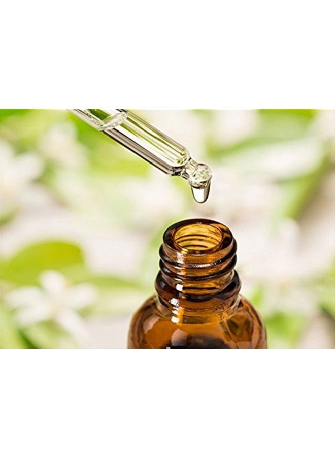 'Lily (Lilium Auratum) Essential Oil 100% Pure and Natural Undiluted Uncut Oil | Use for Aromatherapy Scented Fragrance Oil | Therapeutic Grade (30 ML with Dropper)