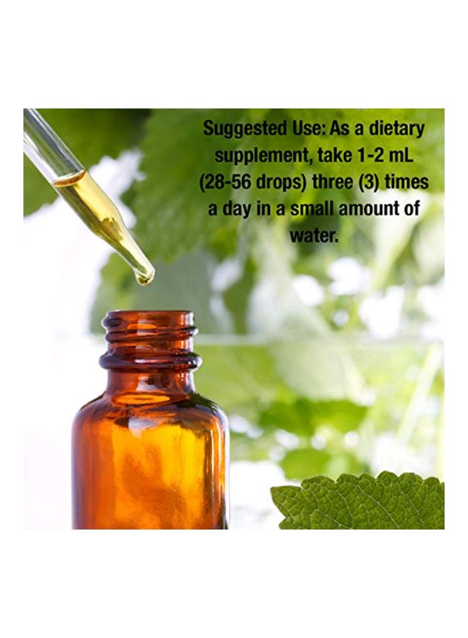Marshmallow Herbal Supplement