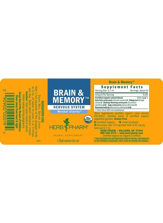 Brain and Memory Liquid Herbal Formula with Ginkgo for Memory and Concentration- 1 Ounce