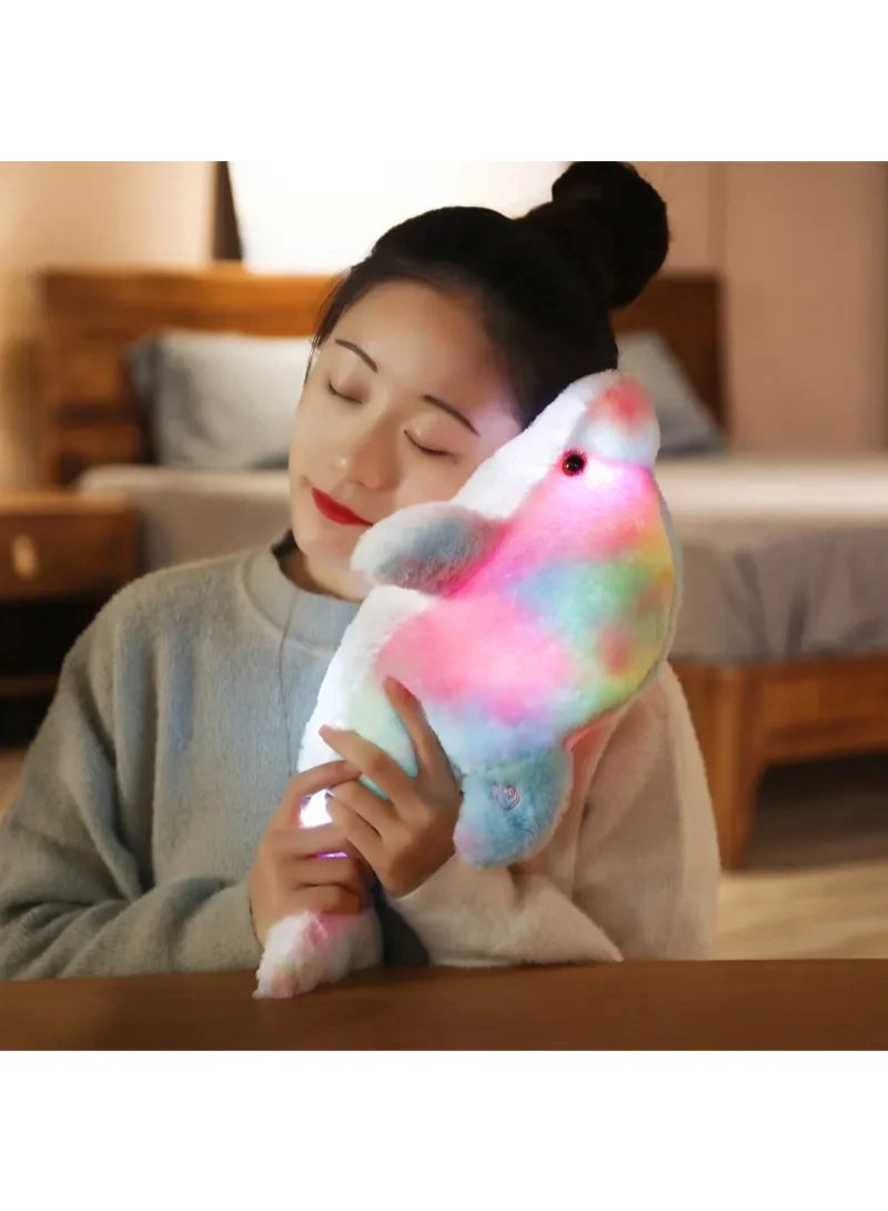 Creative Toy Luminous Plush Pillow Soft Stuffed Glowing Colorful Dolphin Cushion Led Light Toy Gift White
