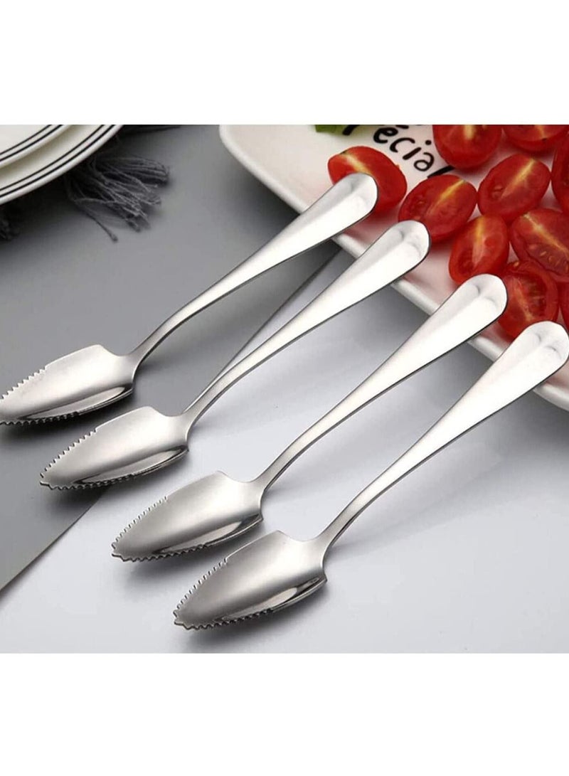 Stainless Steel Grapefruit Spoons, Jagged Spoon, Suitable for Citrus Fruits, Kiwi, Salads and Desserts, Serrated Steel, Dessert Spoons Gift Kitchen, Set of 6