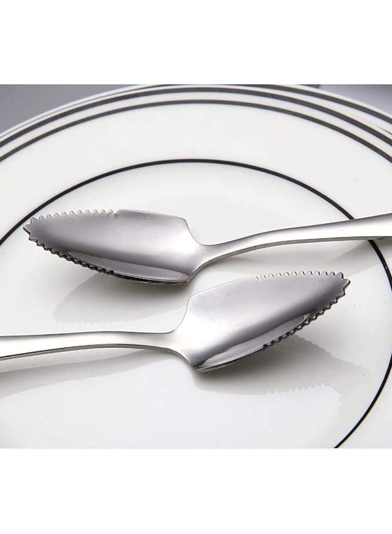 Stainless Steel Grapefruit Spoons, Jagged Spoon, Suitable for Citrus Fruits, Kiwi, Salads and Desserts, Serrated Steel, Dessert Spoons Gift Kitchen, Set of 6