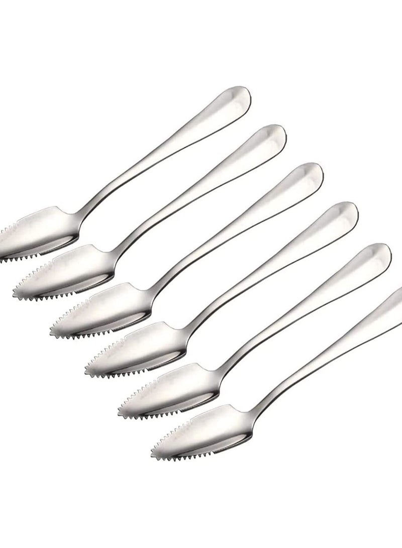 Stainless Steel Grapefruit Spoons, Jagged Spoon, Suitable for Citrus Fruits, Kiwi, Salads and Desserts, Serrated Steel, Dessert Spoons Gift Kitchen, Set of 6
