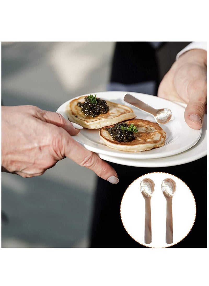 Caviar Spoons Set Coffee Color Spoon with Round Handle for Egg Serving Ice Cream Restaurant 6 Pieces 3.54 Inches