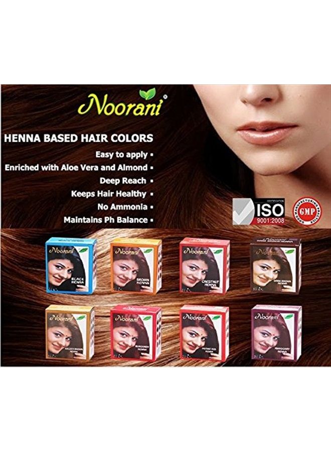 Henna Based Hair Color and Herbal Powder | Free Shipping in USA | Ships from California (3 ( 18 Pouch x 10g ), BURGUNDY HENNA)