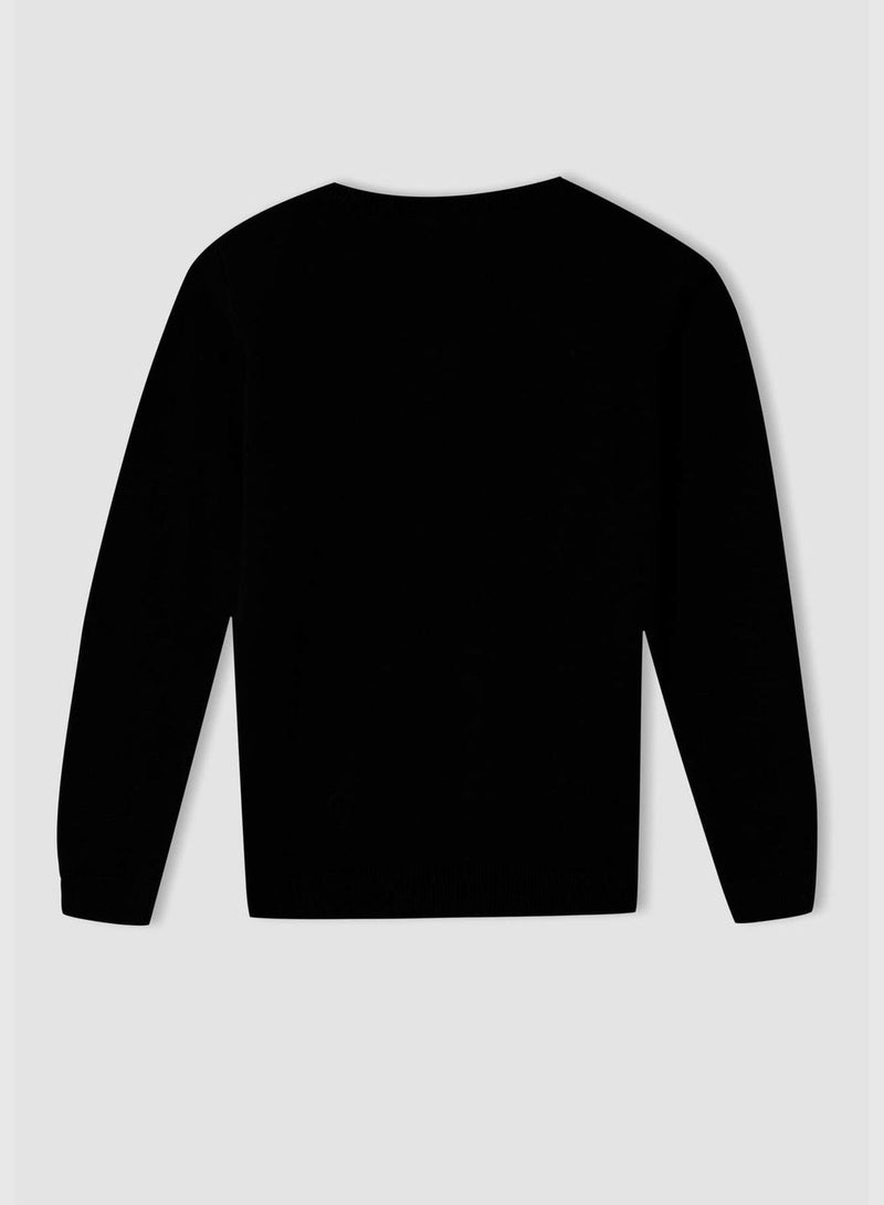 Slim Fit V-Neck Knitted Jumper