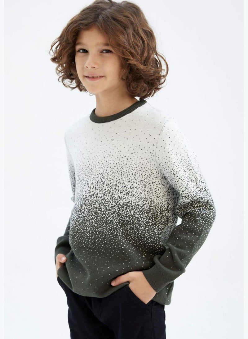 Boy Regular Fit Crew Neck Pullover