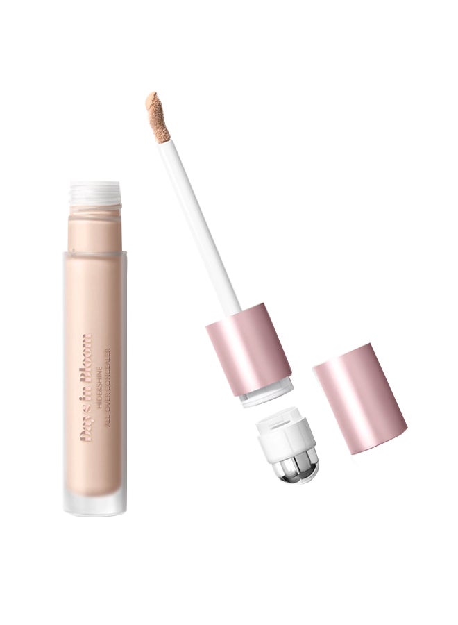 Days In Bloom Hide And Shine All-Over Concealer 02 Honey