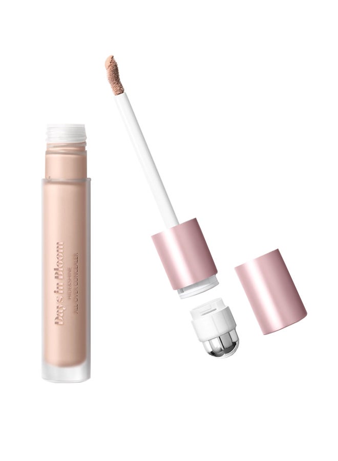 Days In Bloom Hide And Shine All-Over Concealer 03 Hazelnut