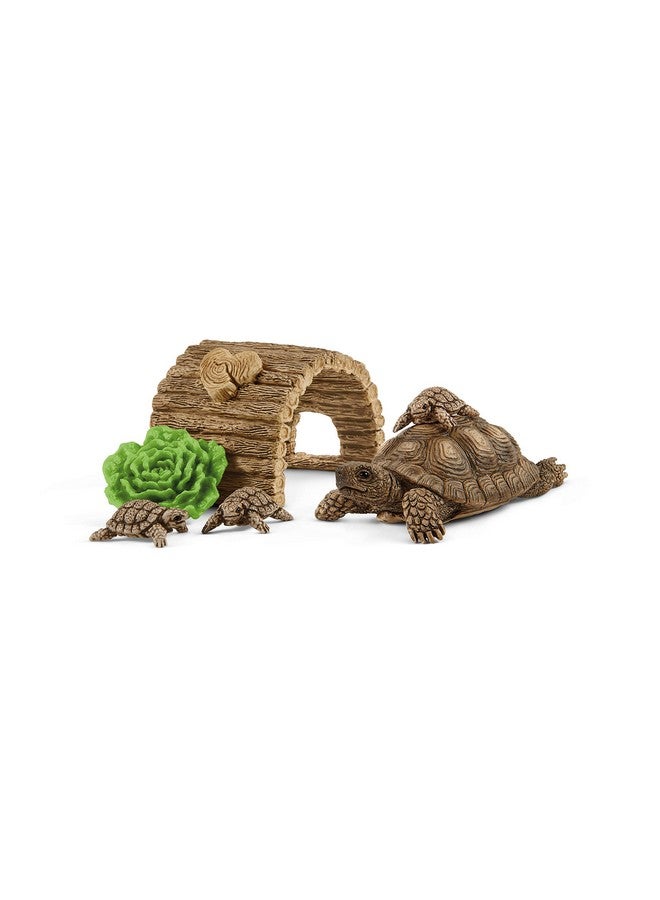 Wild Life 6Piece Tortoise Toy Figure With Hatchlings And Turtle Home Playset For Kids Ages 38 Brown