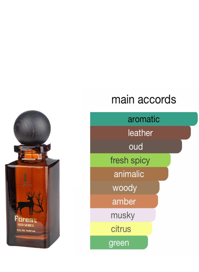 Forest Perfume: A Luxurious Eau De Parfum for Men and Women, 80ml - Ensuring Long-Lasting Fragrance Delight